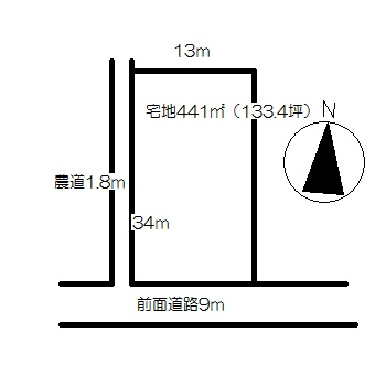 205画像